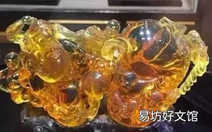 你知道这块琥珀是怎样形成的吗？