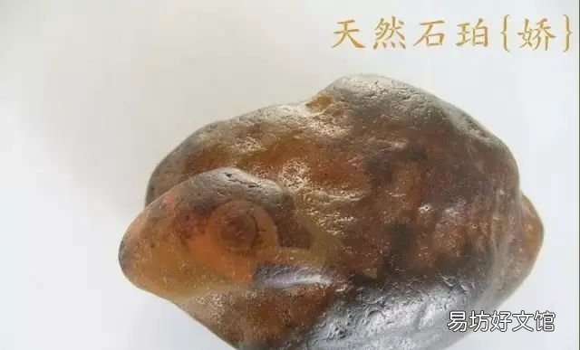你知道这块琥珀是怎样形成的吗？