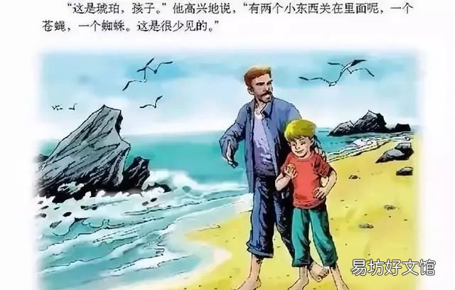 你知道这块琥珀是怎样形成的吗？