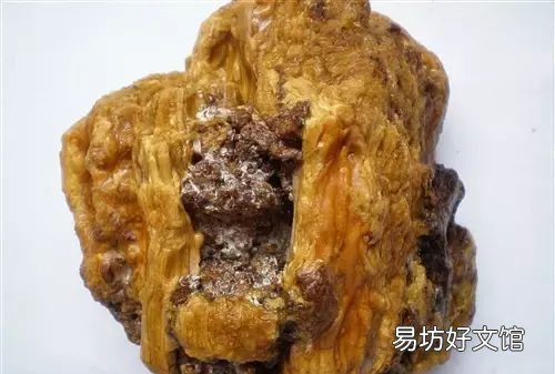你知道这块琥珀是怎样形成的吗？