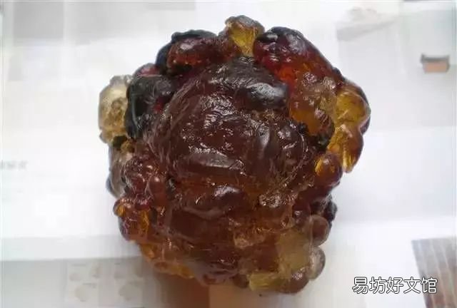 你知道这块琥珀是怎样形成的吗？