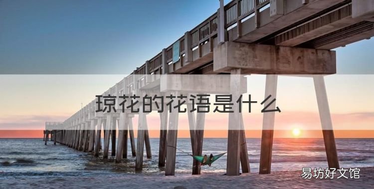 琼花的花语是什么,琼花花语是什么意思