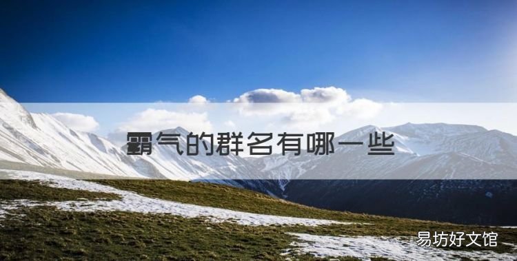 霸气的群名有哪些,好听又霸气的网名男