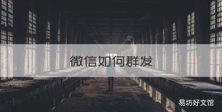 微信如何群发,微信群发所有人怎样操作苹果