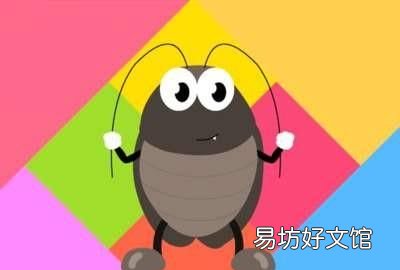 家里有宠物怎么灭蟑螂,猫为什么会捉蟑螂?