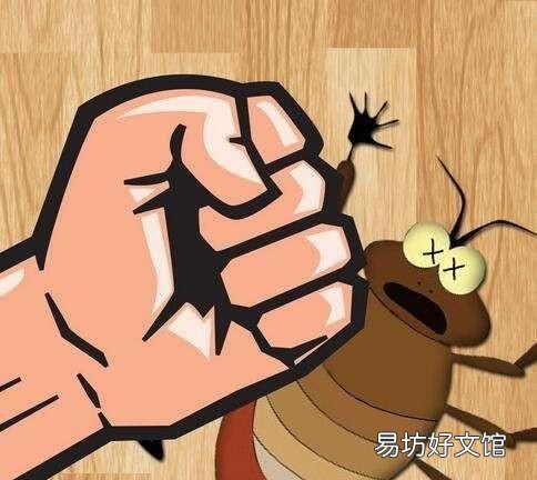 家里有宠物怎么灭蟑螂,猫为什么会捉蟑螂?