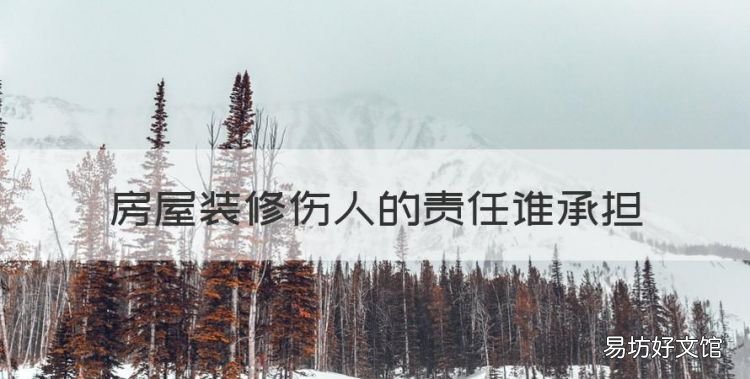 房屋装修伤人的责任谁承担,王某个人承揽一项房屋的装修工程