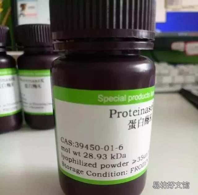 食品酶制剂的主要来源