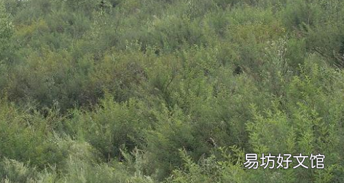 丰富度的概念是什么，群落的物种丰富度是指什么