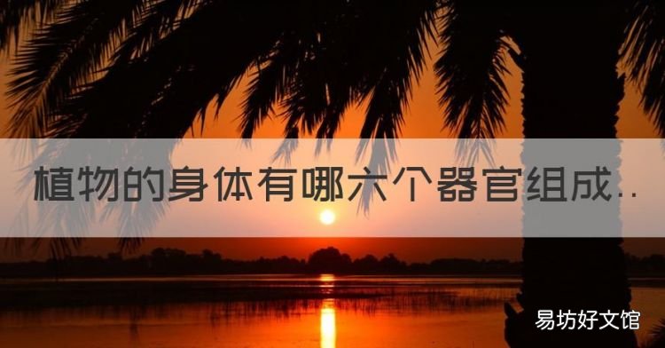 植物的身体有哪六个器官组成,植物的身体是由哪些结构组成的图片