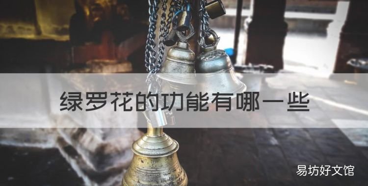 绿萝的作用与功效，绿罗花的功能有哪些