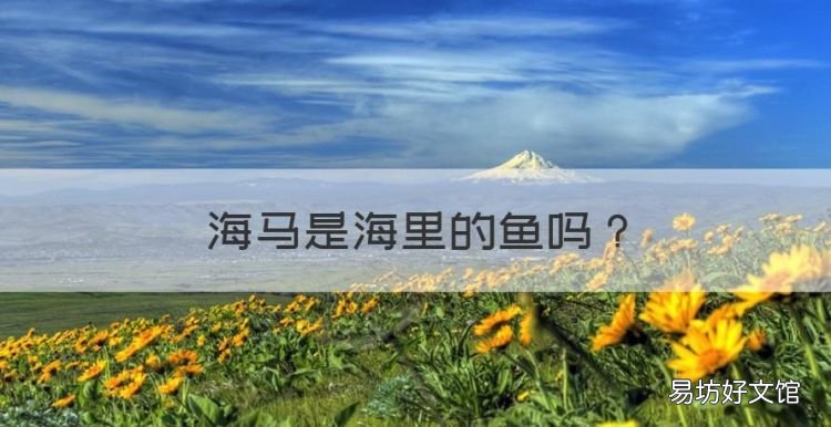 海马是海里的鱼,想知道海马是鱼还是海马