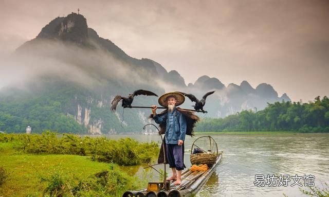 疾风知劲草,板荡识诚臣出自哪一首诗