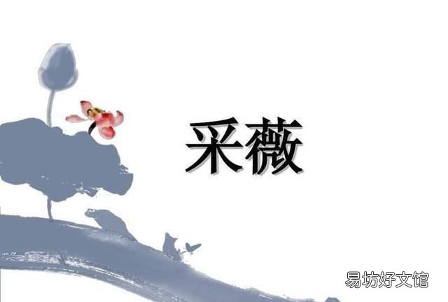 古诗中的采薇是什么意思