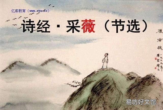 古诗中的采薇是什么意思