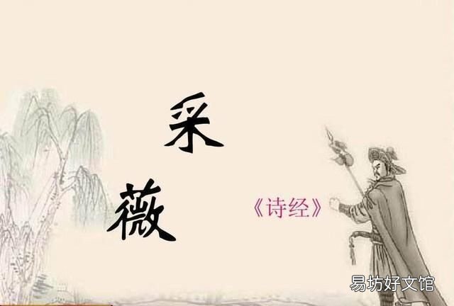 古诗中的采薇是什么意思
