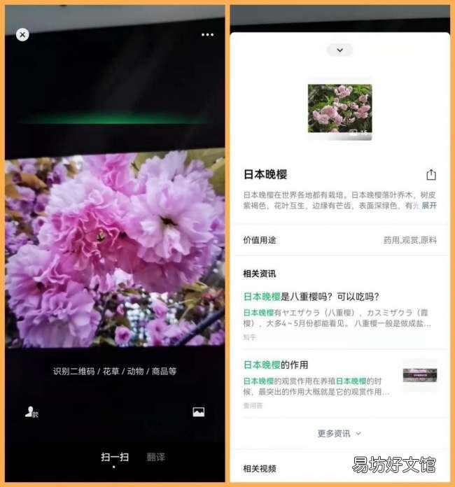 扫一扫网页版在线使用 商品条形码识别在线查询