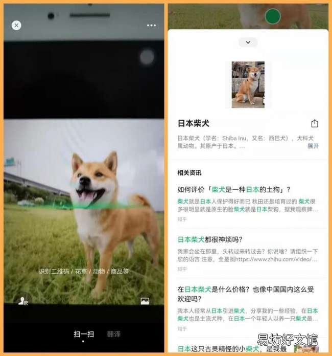 扫一扫网页版在线使用 商品条形码识别在线查询