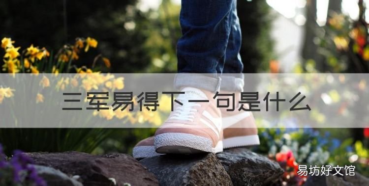 三军易得下一句是什么,人之将死下一句是什么意思