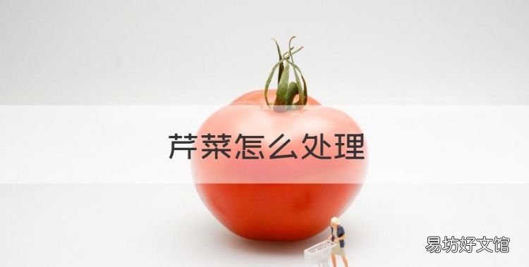 芹菜怎么处理,芹菜怎么摘洗处理