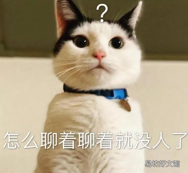 为什么卖车的地方要叫4s店