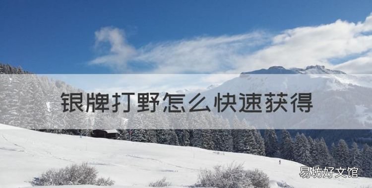 王者荣耀怎么拿金牌,银牌打野怎么快速获得