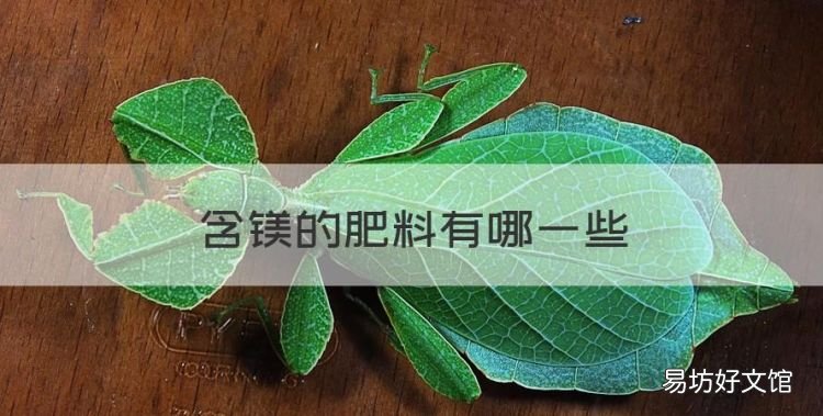 含镁的肥料有哪些,什么肥料含镁最多