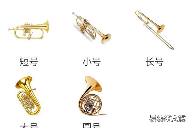 西洋乐器和中国乐器的分类