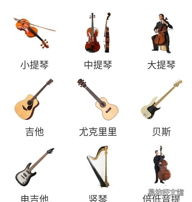 西洋乐器和中国乐器的分类