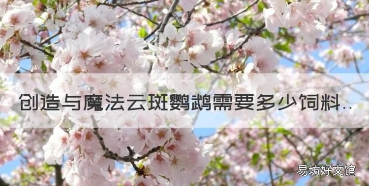 创造与魔法云斑鹦鹉需要多少饲料