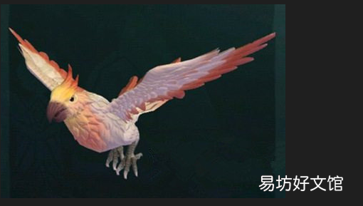 创造与魔法云斑鹦鹉需要多少饲料