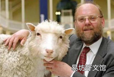 克隆羊多利活了几年,克隆羊多莉只活到了六岁是什么梗