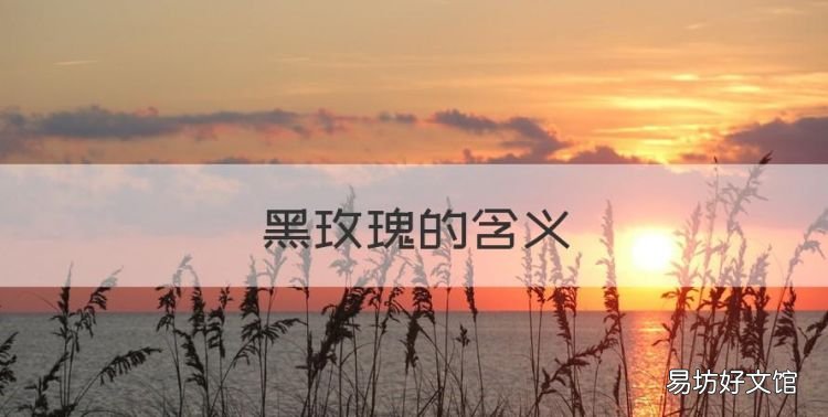 黑玫瑰的含义,黑色玫瑰是什么意思网络用语