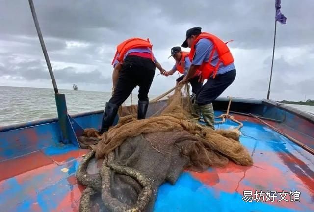 海豬長什么樣子，海豬是什么可以吃嗎