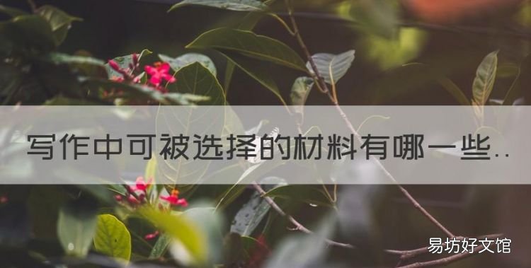 写作文怎么选题材，写作中可被选择的材料有哪些