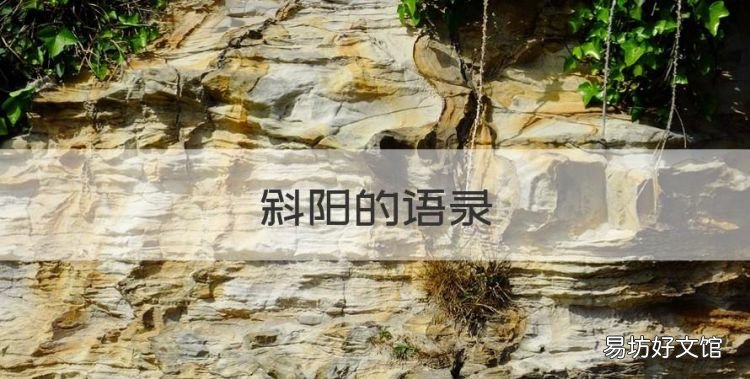 斜阳的语录,《斜阳》太宰治日本文献引用