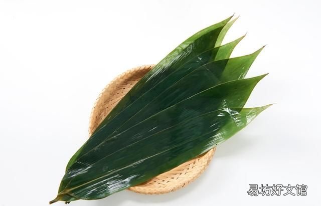 粽叶泡还是煮?牢记这“3步”,粽叶柔软又有韧性,不断裂不漏米