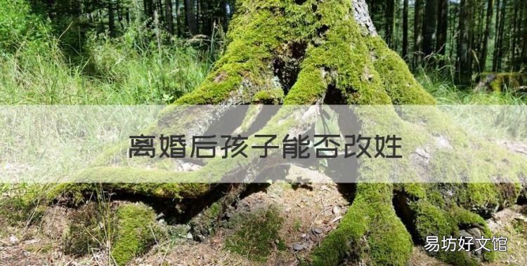 离婚后孩子能否改姓
