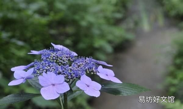 感悟人生的心情说说发朋友圈
