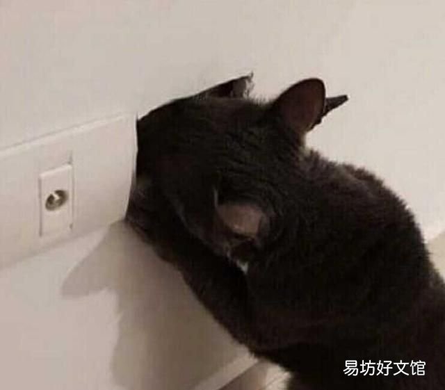 带孩子看病怎么跟医生沟通更有效