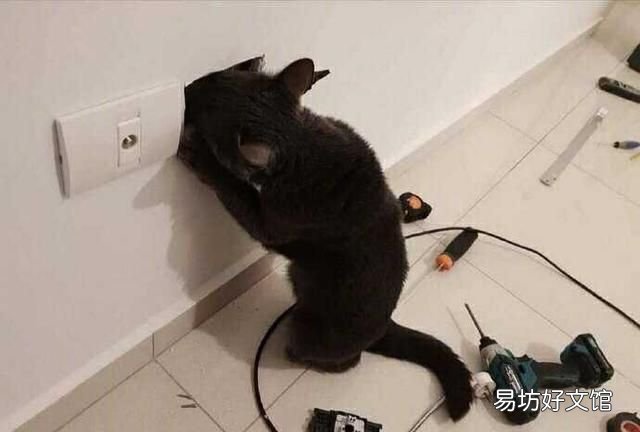 带孩子看病怎么跟医生沟通更有效