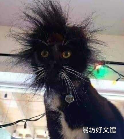带孩子看病怎么跟医生沟通更有效