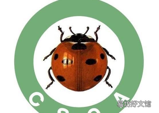 七星瓢虫吃什么,七星瓢虫是益虫还是害虫?