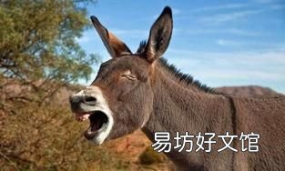 为什么骡子不能生育?看看马和驴都做了什么?