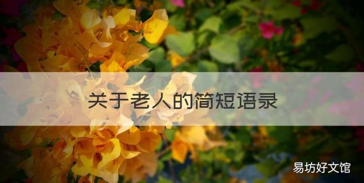 关于老人的简短语录