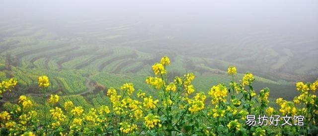 东山再起的主人公