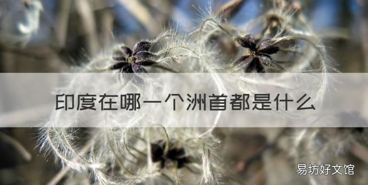 印度的首都是哪里,印度在哪一个洲首都是什么