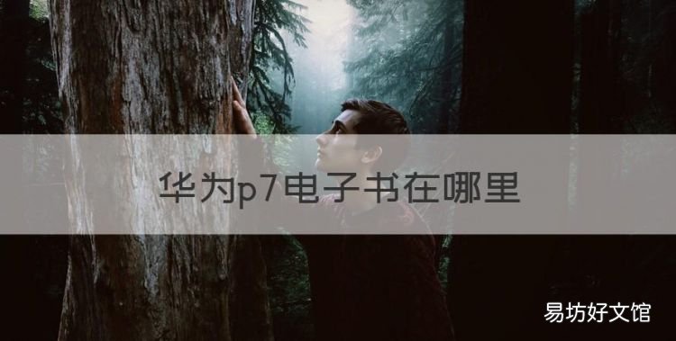 华为p7电子书在哪里