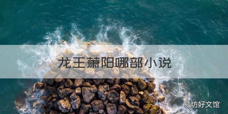 龙王萧阳哪部小说,男主角萧阳小说叫什么名字
