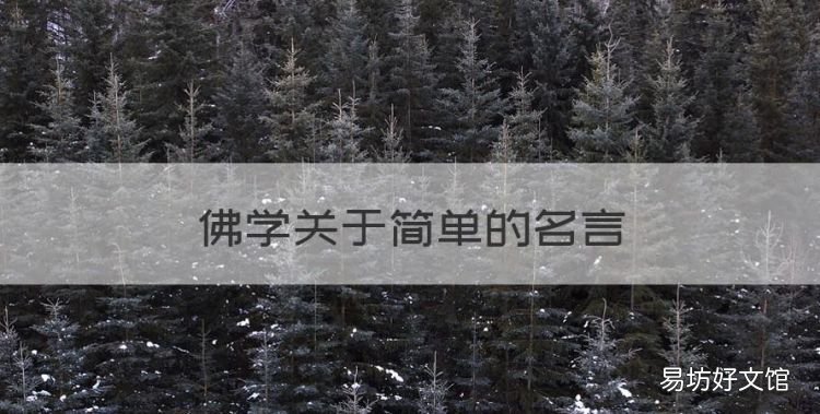 佛家经典语录,佛学关于简单的名言